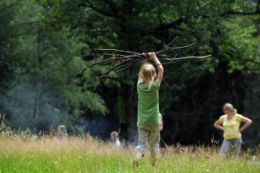 tipress sss120611 39 piccola