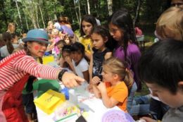 tipress sss120611 40 piccola