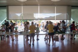 AC2020 ScollinandoAle 17082921