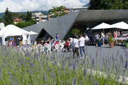 Massagno spettacolo 4