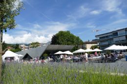 Massagno spettacolo 5