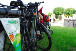 2017 Scollinando COMANO VS  16 