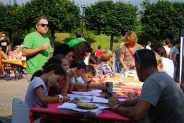 2017 Scollinando COMANO VS  20 