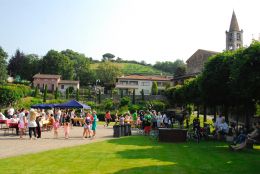 2017 Scollinando COMANO VS  25 