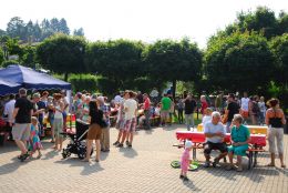 2017 Scollinando COMANO VS  27 