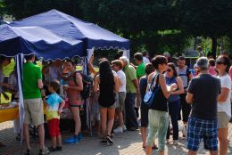 2017 Scollinando COMANO VS  35 